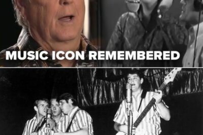 Legendary Beach Boys Mastermind Brian Wilson Dies at 82: Inside the Turbulent Genius’ Final Days, Lost Albums, and the Dark Legacy of a Music God Who Changed Sound Forever—What He Never Told the World