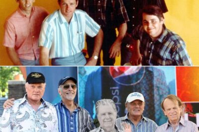 Where Are The Beach Boys Now? Shocking Truths, Tragic Endings & Legendary Comebacks of Rock’s Most Iconic Band – Inside the Lives, Feuds and Untold Stories of the Founding Members and Forgotten Stars You Never Knew!
