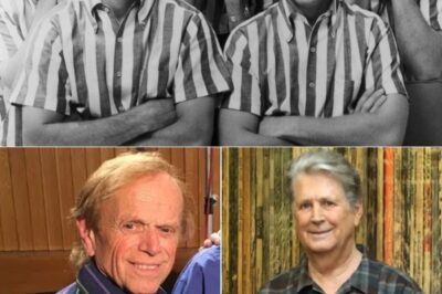 Sh0cking Loss: Mike Love’s Heartbreaking Tribute to Cousin Brian Wilson – The Irreplaceable ‘Heart & Soul’ of The Beach Boys Reveals Untold Family Bonds & Musical Legacy That Will Leave You in Tears! A Legend’s Final Goodbye That Exposes the Raw Emotion Behind Their Iconic Harmonies – You Won’t Believe What He Shared About Their Last Moments Together!