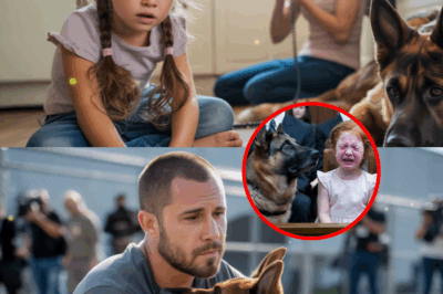Six-Year-Old Girl’s Agony as Father Faces Death Penalty, But Her German Shepherd Does the Miraculous—Uncovering Long-Lost Evidence That Shocks the Nation and Sparks an Unbelievable Race Against Time to Bring an Innocent Man Home Before It’s Too Late!